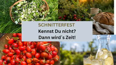 Wildkräuterabend im Volksgarten – Schnitterfest bewusst erleben