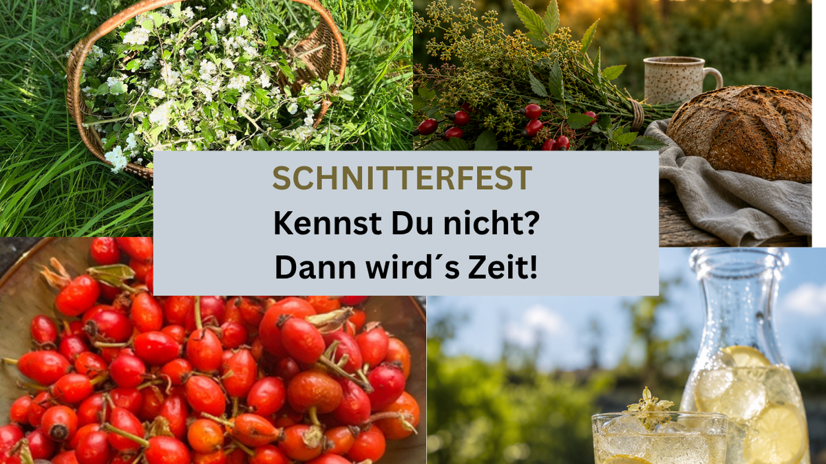 Titelbild der Veranstaltung Wildkräuterabend im Volksgarten – Schnitterfest bewusst erleben
