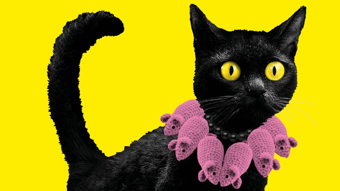KATZEN!
