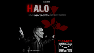HALO (Depeche Mode Tribute-Show aus USA)