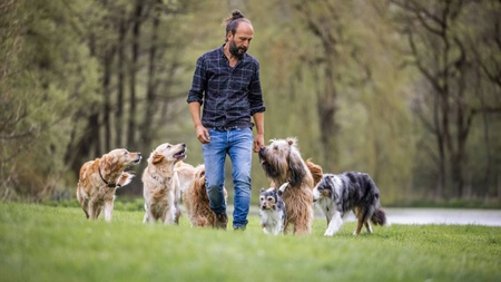 Sami El Ayachi - Der zugewandte Hund!