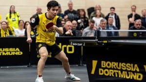 BVB Tischtennis Bundesliga