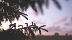 Rauch & Ritual – Praxisworkshop zu den Rauhnächten 2025