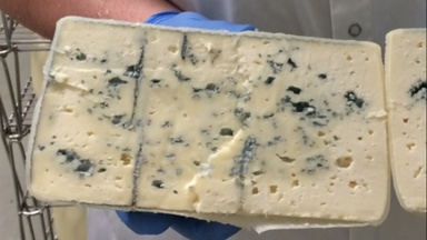 Käseschule Special: Deep Blue