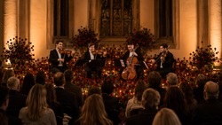 VIDI Events