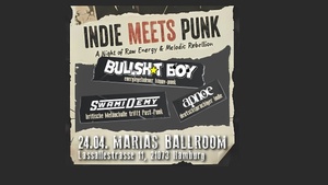 Swamidemy // Bullshit Boy // Apnoe - Indie Meets Punk