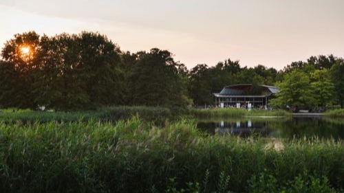 SonntagsKult am See: Musical-Revue Summer Stars