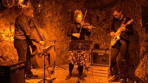 jezevec u mraveniště