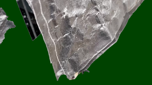 fi x Stil vor Talent