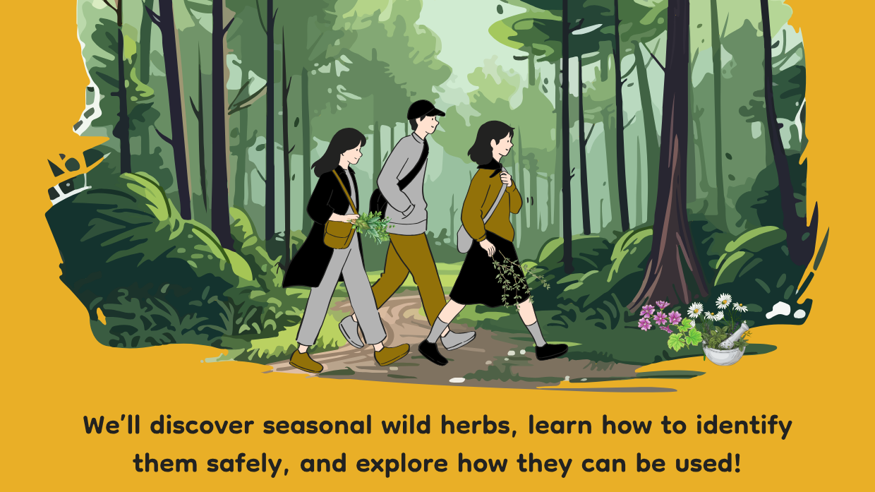 Villa Welcome Club's Wild Herb Walk
