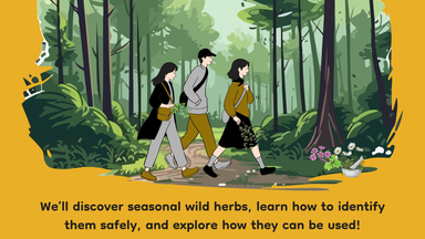 Villa Welcome Club's Wild Herb Walk