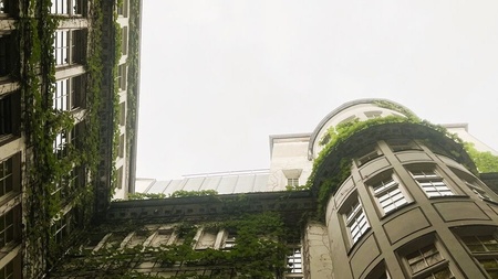 Wachsende Stadt - Rundgang zu Fassadenbegrünung in der Innenstadt