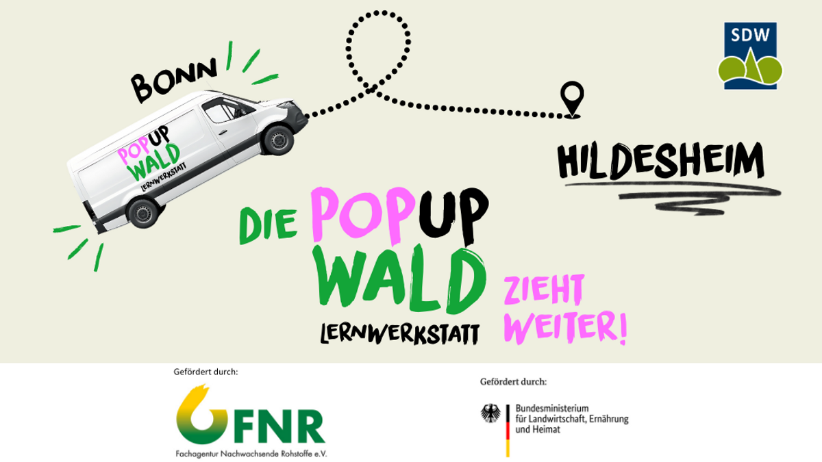 PopUp Wald Lernwerkstatt