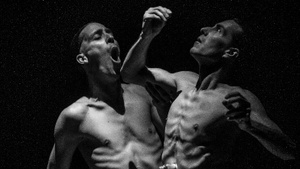 DIE WORKSHOPS - Tanzen, wann du willst!