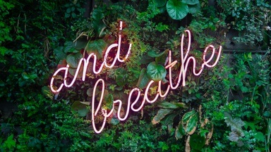 Conscious Connected Breathwork Gruppensession – Verbinde dich mit deiner Lebendigkeit