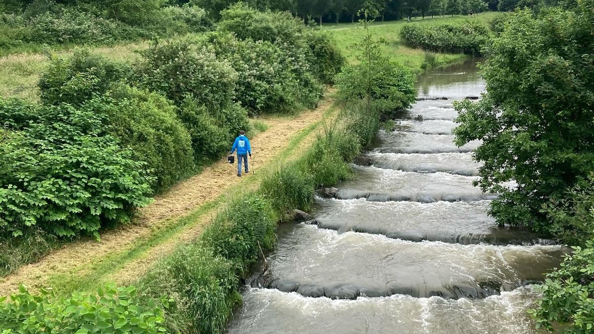Cleanup am Brückerbach