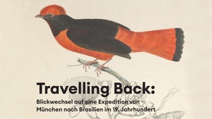 Travelling Back. Blickwechsel auf eine Expedition von München nach Brasilien im 19. Jahrhundert