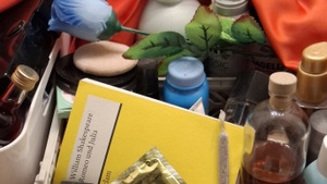 Romeo, Julia & die Sache mit der Liebe