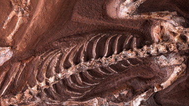 Erdzeiten - Geologie ist Leben