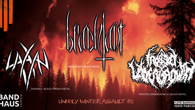 Brachlant + Frosted Undergrowth + Saxaxas