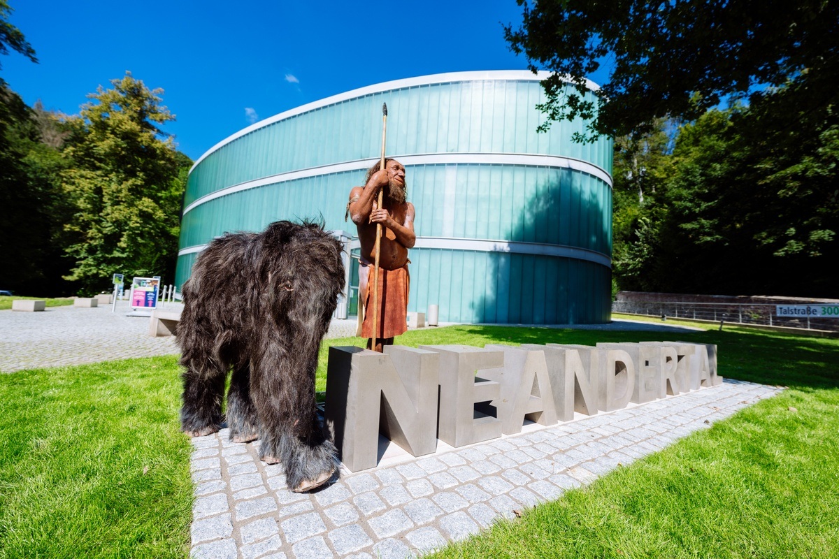 Neanderthal Museum