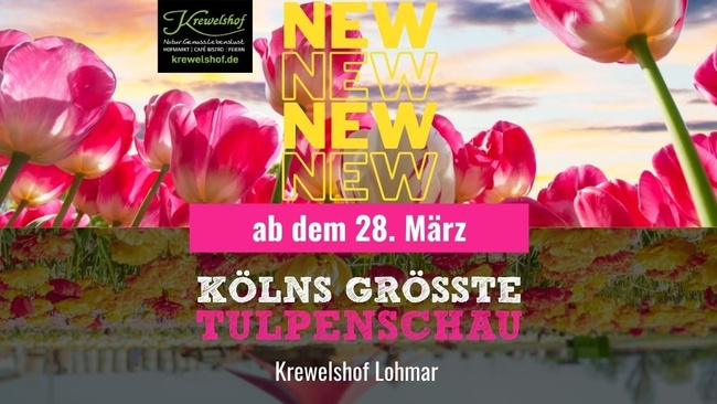 KÖLNs größte Tulpenschau 2026
