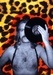 Don Rogall