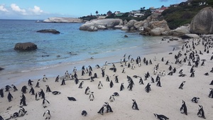 Kontraste Afrikas. Abenteuer von Südafrika bis Äthiopien