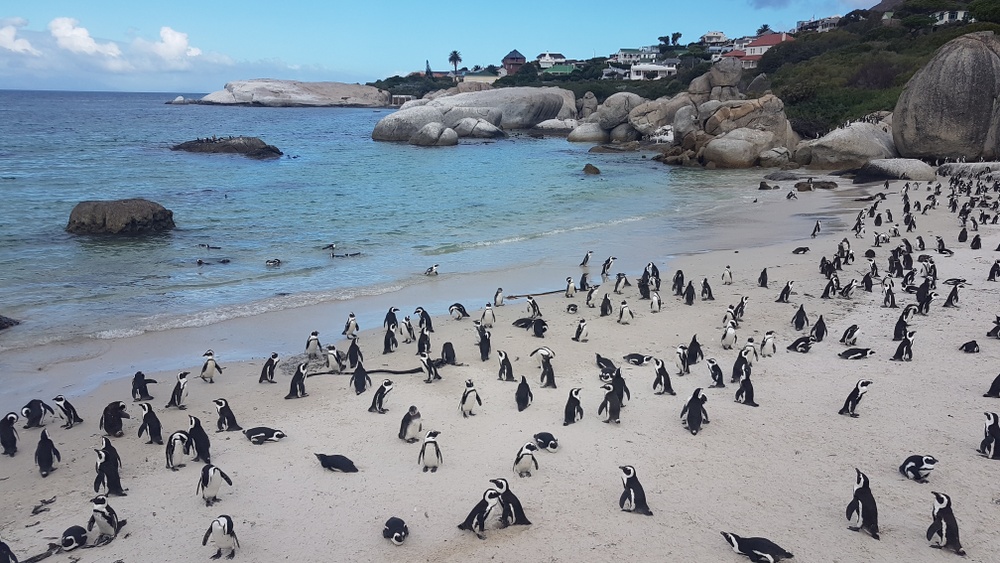 Kontraste Afrikas. Abenteuer von Südafrika bis Äthiopien