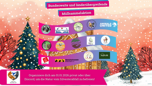 Großer bundesweiter Clean Up zu Neujahr