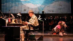 Familienkonzert #1: Karneval der Tiere