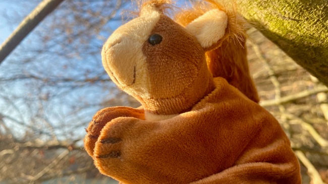 Familienzeit am Samstag "Eichhörnchen Eckard und die Bäume"