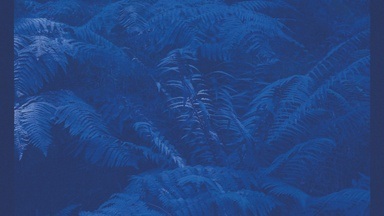 ORBIT XII: Lucy J. Rogers & Anna Kebe