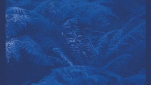 ORBIT XII: Lucy J. Rogers & Anna Kebe