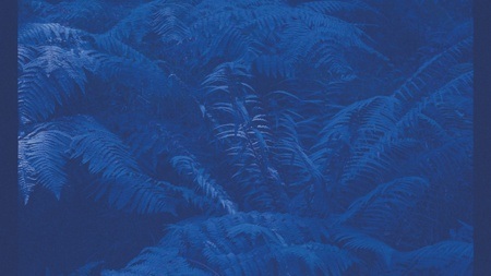 ORBIT XII: Lucy J. Rogers & Anna Kebe