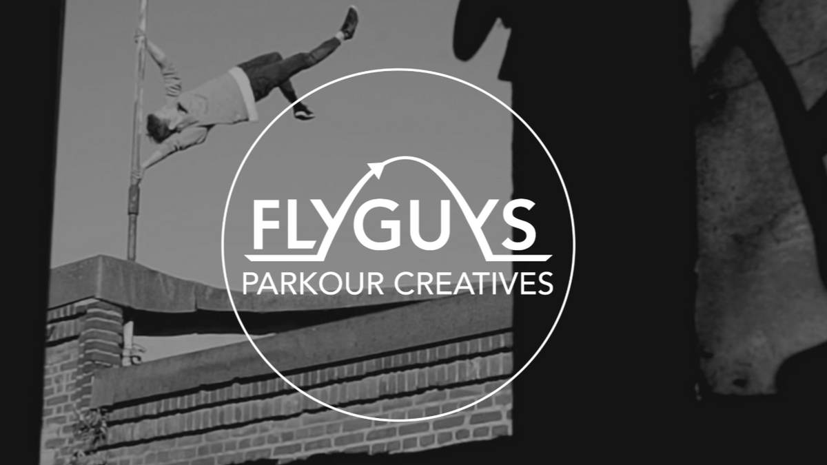 Flyguys