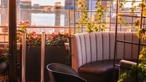 Rooftop Sessions: Gespräche über Bäume – Poesie für Freiheit