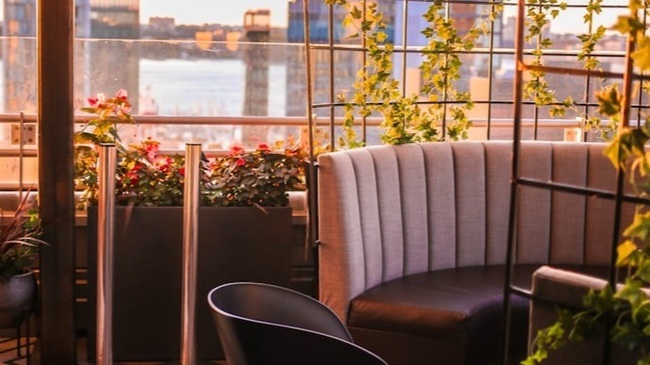 Rooftop Sessions: Gespräche über Bäume – Poesie für Freiheit