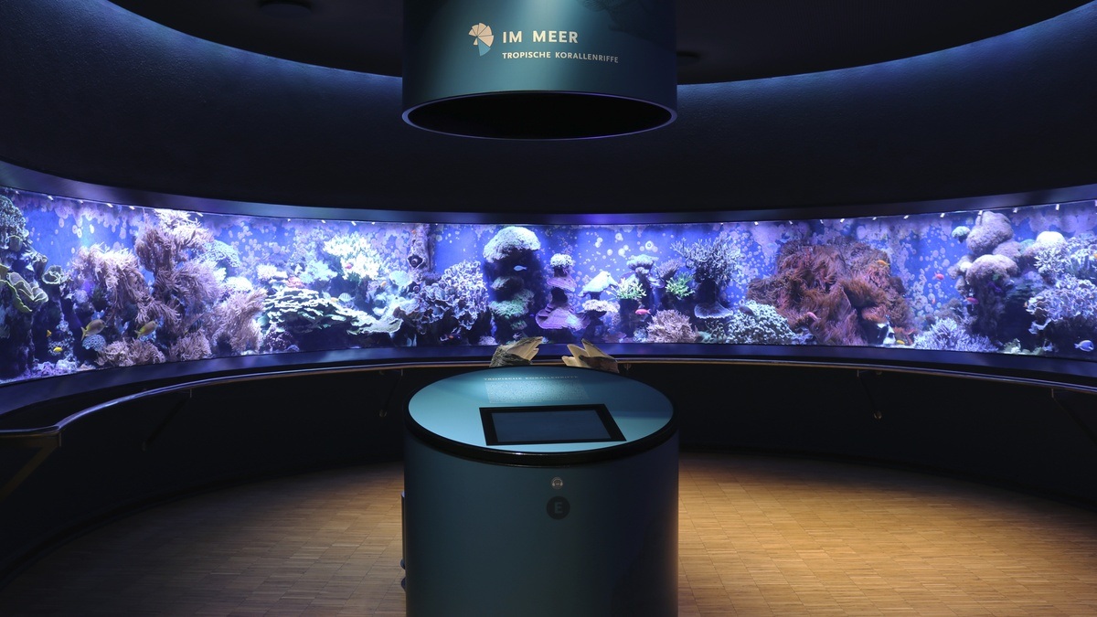 Aquazoo Löbbecke Museum