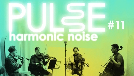 PULSE#11 - harmonic noise