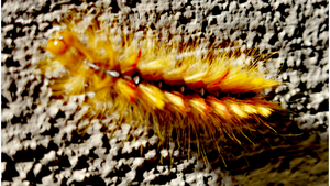 BLACKOUT at Neue Zukunft