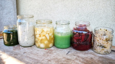 Fermentationswerkstatt – Mikrokultur trifft Stadtteilkultur