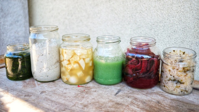 Fermentationswerkstatt – Mikrokultur trifft Stadtteilkultur