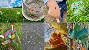 Dienstagstrolle Eltern-Kind-Waldgruppe für Kinder zwischen 1,5 und 3 Jahren