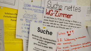 WG GESUCHT!