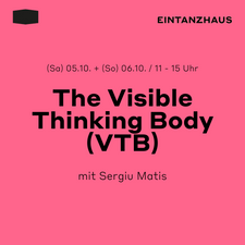 The Visible Thinking Body (VTB) / Workshop