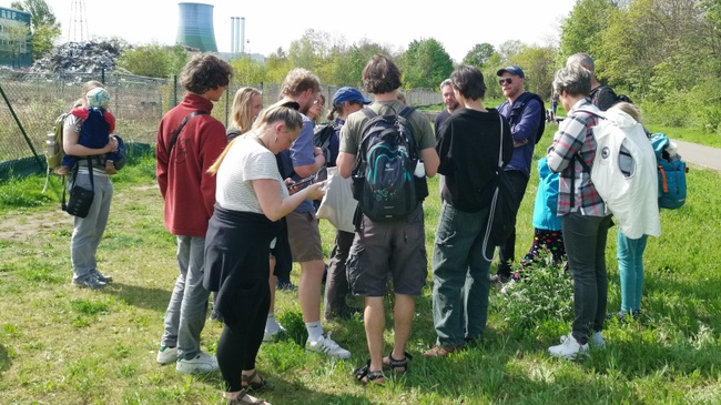 Exkursion: Wildbienenspaziergang am Proschhübel
