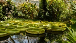 Botanischer Garten Greifswald
