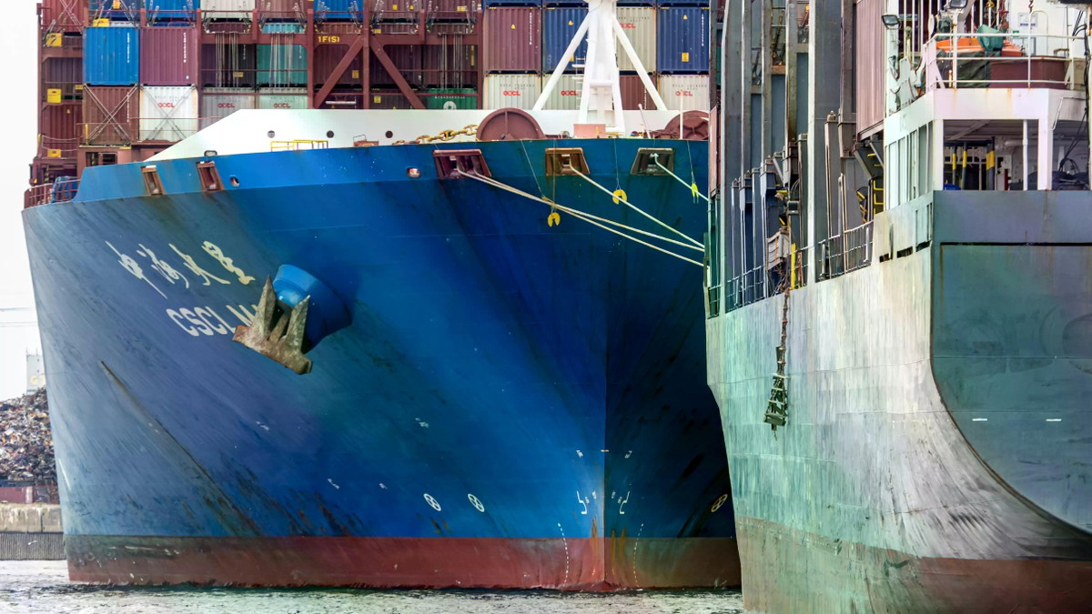 Titelbild der Veranstaltung Wildes Wilhelmsburg: Die Elbe von der Elbe aus
