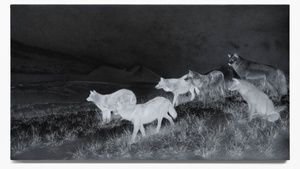 Führung durch die Ausstellung "Jelena Bulajić: Untitled (after)"